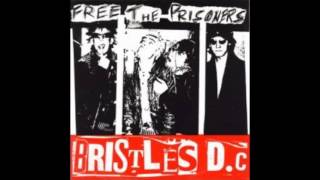 The Bristles - Don't Give Up