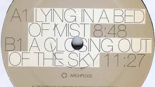 Jesse Somfay - Lying in a bed of mist