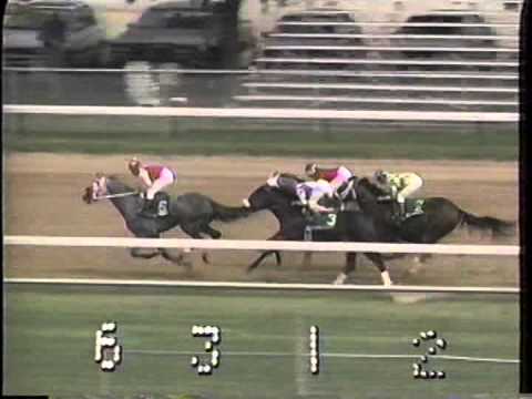 1991 Stephen Foster H. -- Black Tie Affair