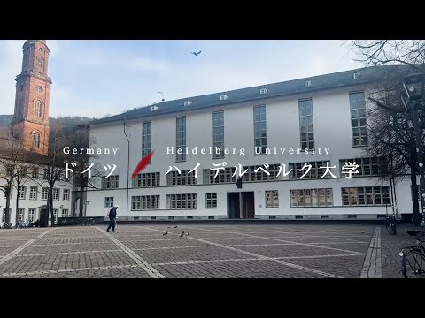 早稲田大学留学リポート2023 #5 ハイデルベルク大学/ Waseda University Study Abroad Report Heidelberg University