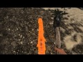 Flying Palmtree Broom Stick