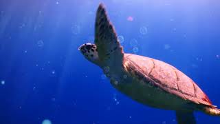 Wham! - Nothing Looks The Same In The Light Lyrics