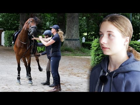Pferd macht einfach keinen Spaß mehr - Reiten und Umgang nur mit vielen Kompromissen möglich