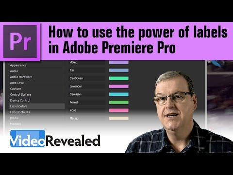 Choosing the right video production software