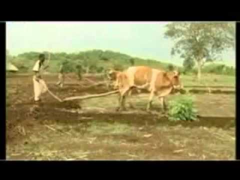 Solomon G Michael Abay