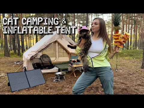 Solo Camping with Cat 🐾 Inflatable Tent, Solar Panels & Salmon Dinner | ASMR Forest Camping