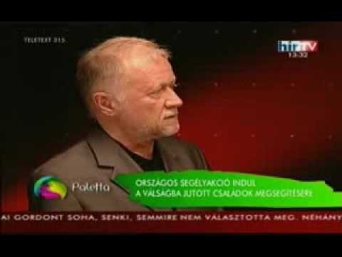 Lévai Anikó a Hír TV-ben