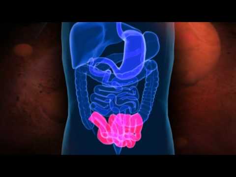 comment nettoyer systeme digestif