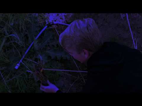 Rangers Apprentice - Ruins of Gorlan Trailer