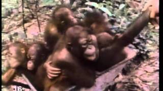 3-2-1 Contact #16 How Do They Know That - Innate and Learned Behavior