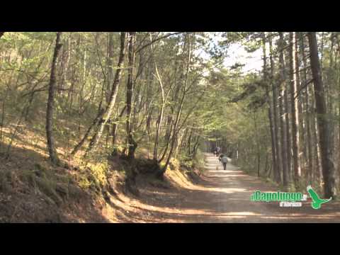 L'Aquila: La domenica di S Giuliano [ilcapoluogo.it]