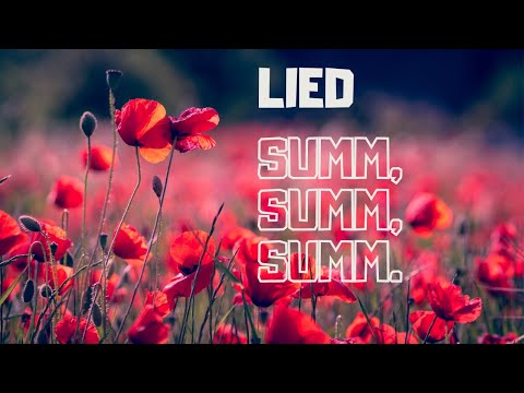 Lied "Summ, summ, summ". Musik für Kinder. Musikschule Klanginsel.