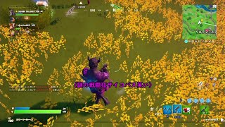 【Fortnite】フォートナイト超初心者女子かわいいおもしろ謎挙動サイコ野郎狂気実況!!