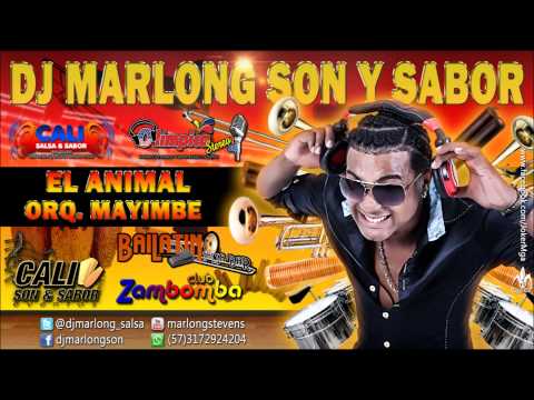 El Animal - Orq. Mayimbe - Dj Marlong Son y Sabor 2015