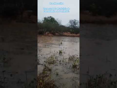 🇧🇷 Zona rural do Município de Carnaubeira da Penha, Pernambuco 20/11/2025 #pescaria #chuvas #pesca
