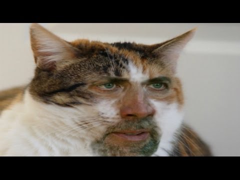 Labs Mixing Human Animal DNA Trans-humanism Last days End Times news update June 2016