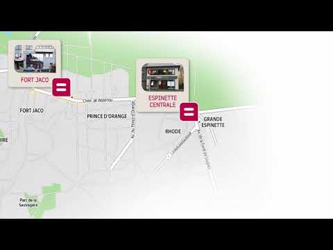 Belfius Forêt de Soignes