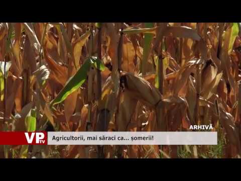 Agricultorii, mai săraci ca… șomerii!