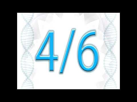 Human Design Academy by Ra Uru Hu: Profile 4/6