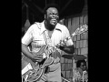 Freddie King - Let Me Down Easy