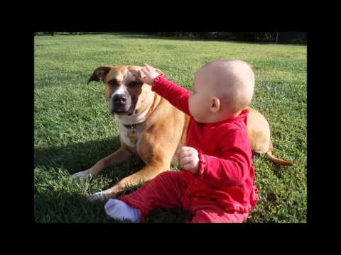 ~Celebrating Julieanne~