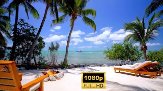 Beaches | Drone | Nature | Sea View | Free HD Videos - No Copyright footage