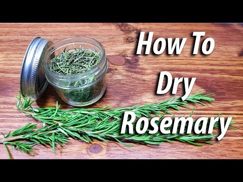 How To Dry Rosemary (2019) Four Different Ways!