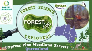 ForestVR - Forest Science Explorers - Cypress Pine Woodland Forests  | QLD