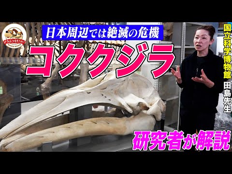 海:研究者も驚く海底の場所