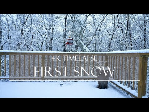 First snow fall (bird feeder timelapse) | 4K UHD