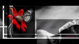 Natacha Atlas - ( It's A Man's Man's ) Man's World