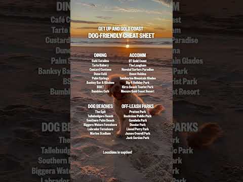 Gold Coast Pet Cheat Sheet #GoldCoast #Dog #Shorts