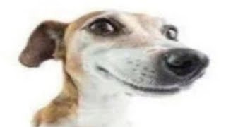 Cover art for facts fight