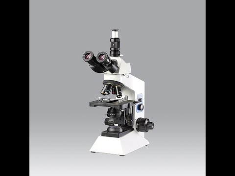Biological Trinocular Microscope Model: Excel