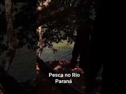pesca no Rio Paraná em flores de Goiás