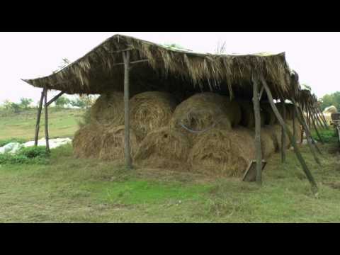 Traditional Ecological Knowledge (IKL) of Hungarian Herders (Magyar Pásztorok Ökológiai Tudása)