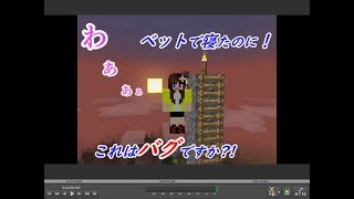 【ポポクラ】part.12～①上手なはしご上り方。②これは何なの？！③前回の検証中にこんな事がありました！～初心者マイクラ実況