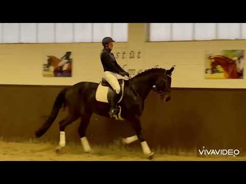 *2018 Frauenheld von For Romance I