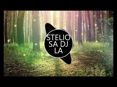 STELIOXEMILIO - SA DJ LA _DJRICARDSS REMIX