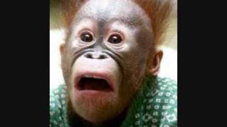 A 7 Illegal 2001.wmv