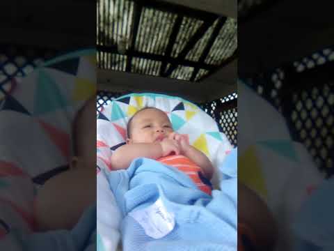 The life of Lil Kenshi