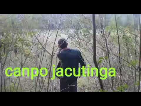 retrospectiva comedy comunicação campo jacutinga Candói PR retrospectiva humor do Sporting 