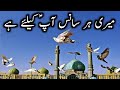 Mera Wujood Meri Har Saans Imam E Zamana Aj Ki Amanat Hai Roz E Jumma Zahoor E Imam E Zamana