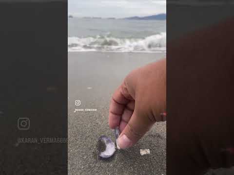 #sufi #trending #reels #beach #good #shorts #canada #punjabi