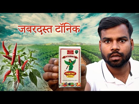 Fantac Plus Coromandel || सच में भाई रिजल्ट 100% जबरदस्त