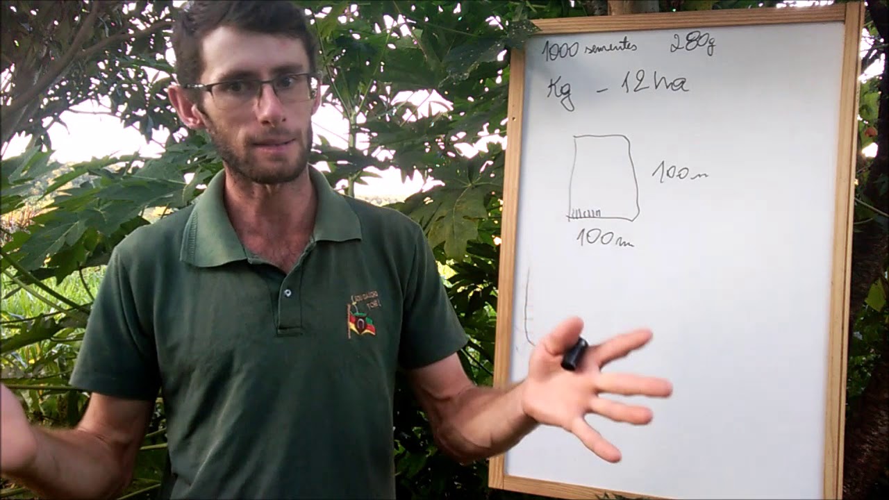 Aula de matemática para o campo: calculando a necessidade de semente por área