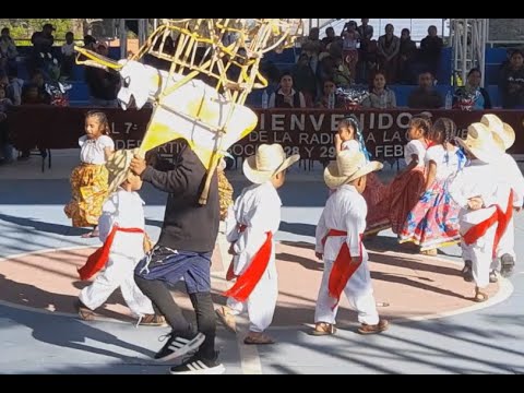 Asi de alegres 🎶 🔥  Música de Amoltepec 🎵 Santiago Amoltepec Oaxaca