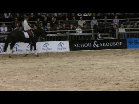 EDward Gal Clinic Herning 2011 (2) piruetts, halfpass