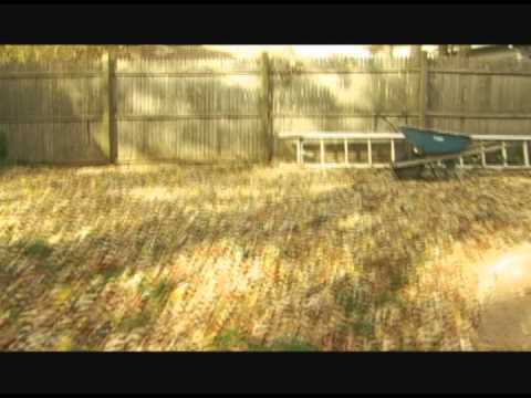 Video thumbnail for Between Your Ear And The Other Ear