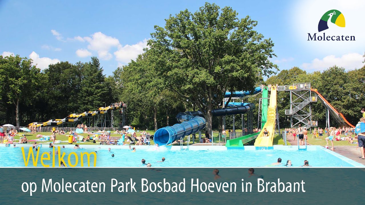 Bekijk het filmpje van Molecaten Park Bosbad Hoeven in Brabant